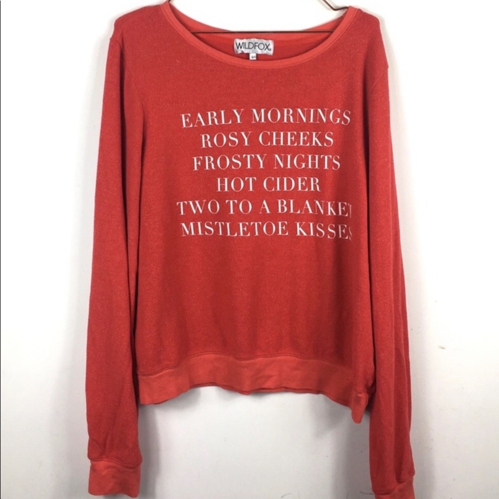Wildfox Christmas Sweatshirt 🎄